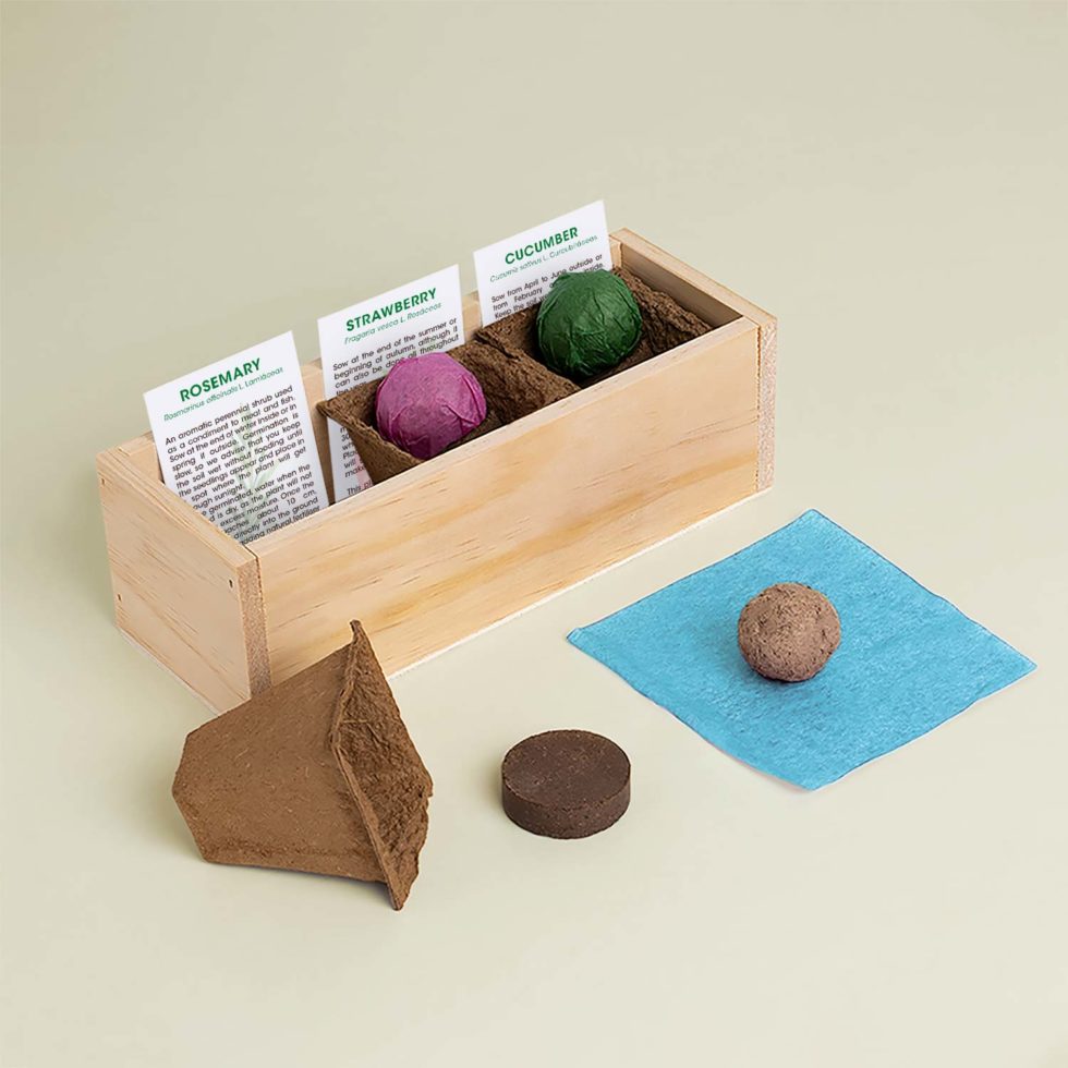 Growing Kit Gin and Tonic