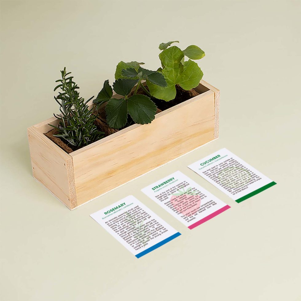 Growing Kit Gin and Tonic