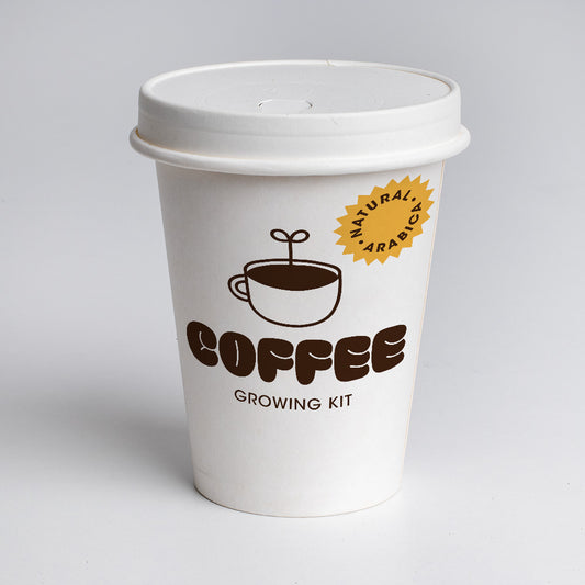 Coffee Growing Kit