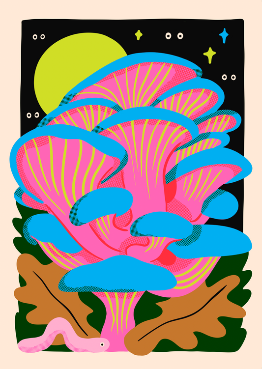 Cathy Hogan - Dreamshroom