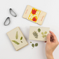 Pocket Flower Press - Tulip