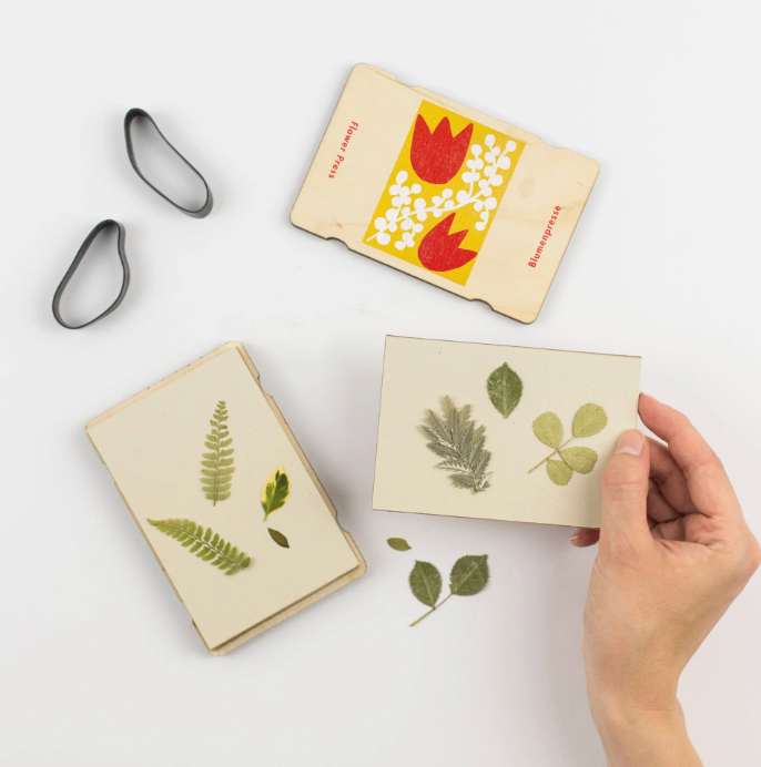 Pocket Flower Press - Tulip