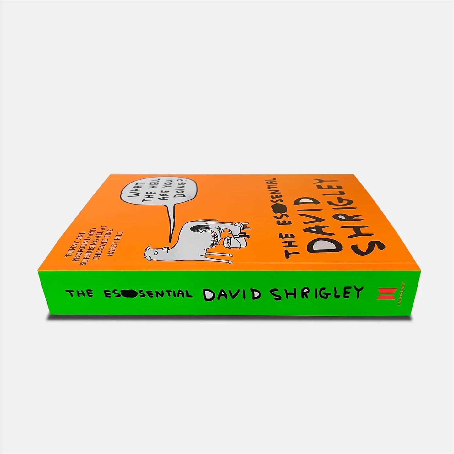 David Shrigley The Essential Book