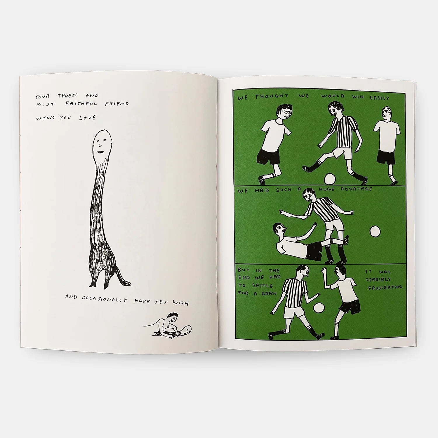 David Shrigley The Essential Book