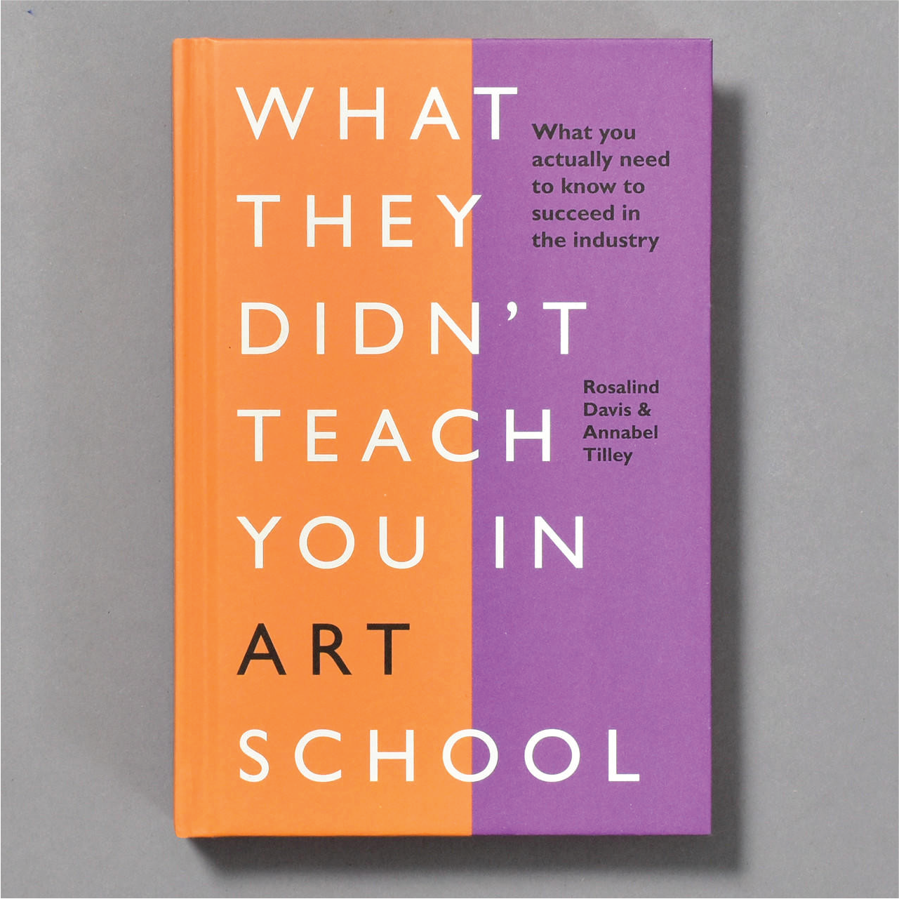 What They Didn't Teach You In Art School - Rosalind Davis - Book