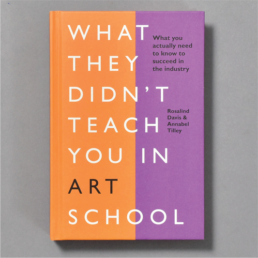 What They Didn't Teach You In Art School - Rosalind Davis - Book