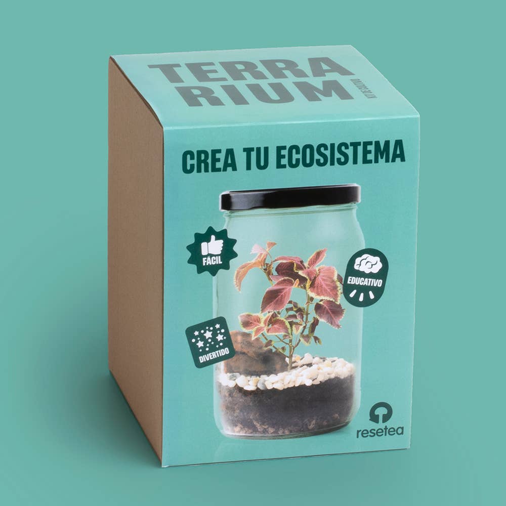 Terrarium Kit