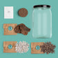 Terrarium Kit
