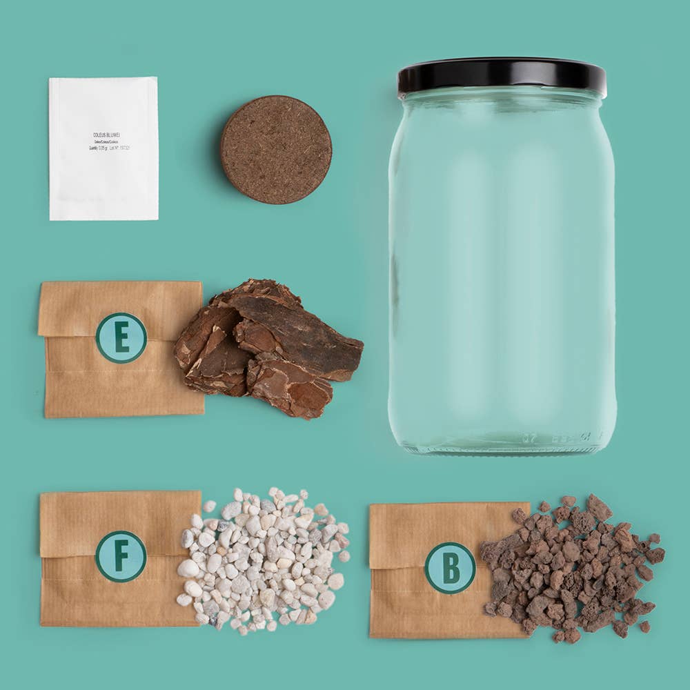 Terrarium Kit