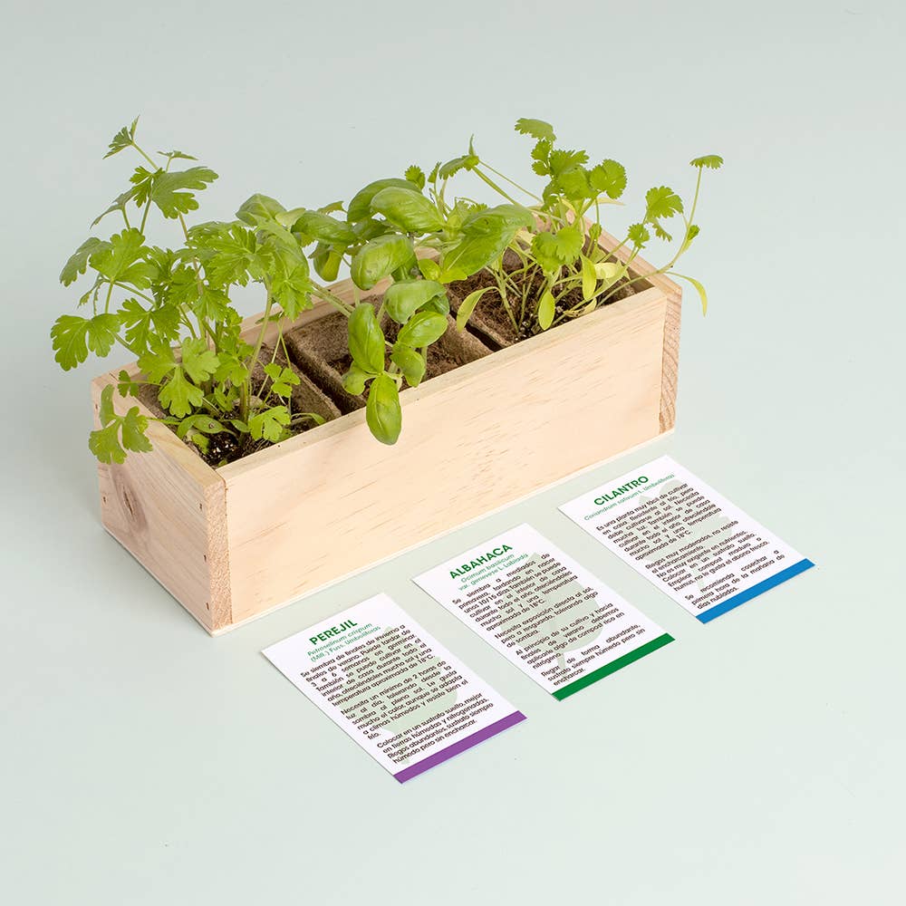 Mini Herb Garden🌿