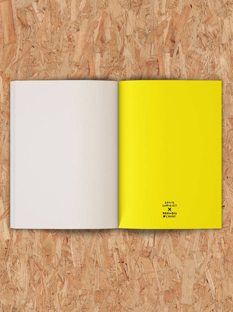 Funny Gift - Art Save The World Sketchbook by David Shrigley