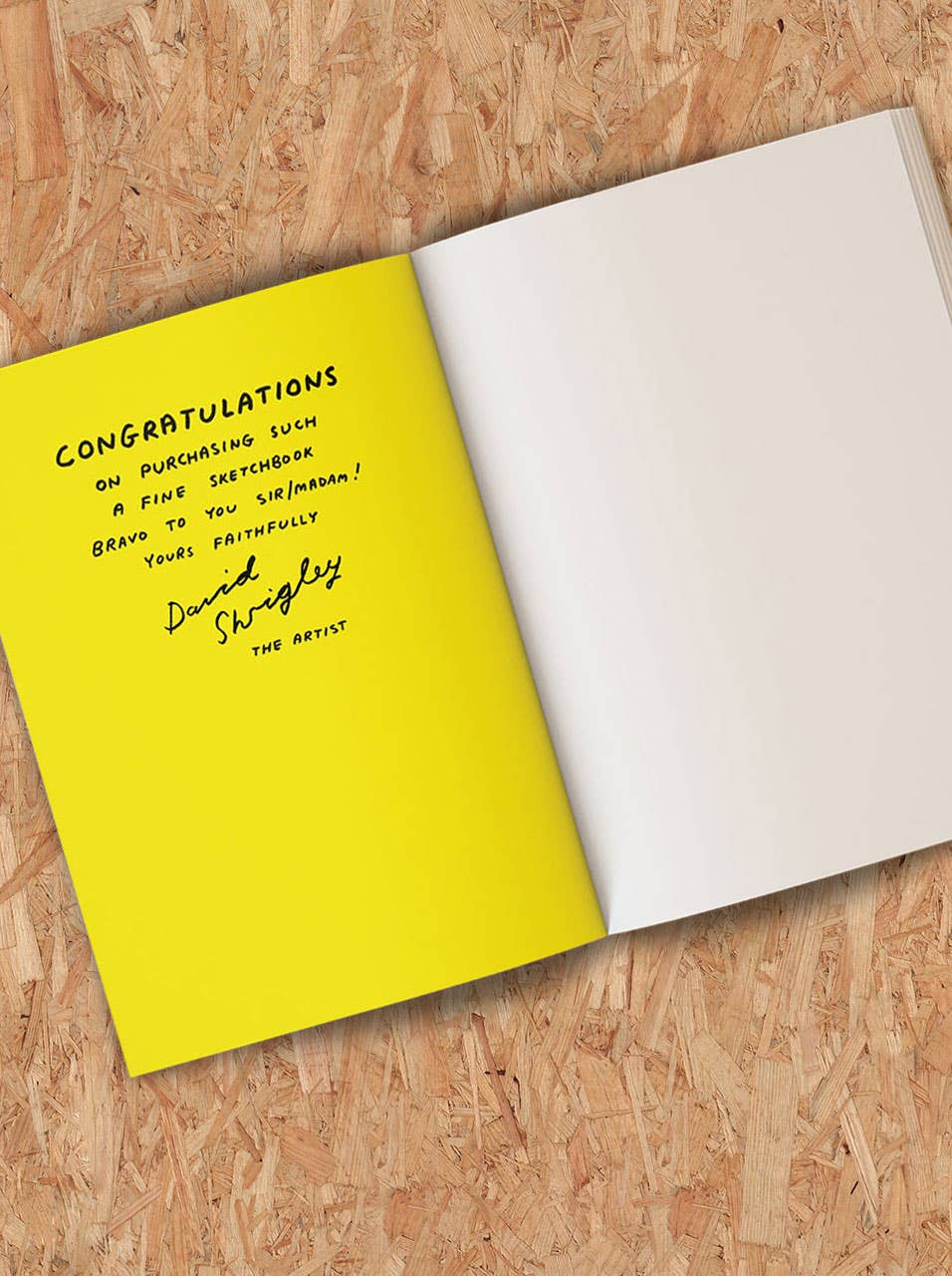 Funny Gift - Art Save The World Sketchbook by David Shrigley