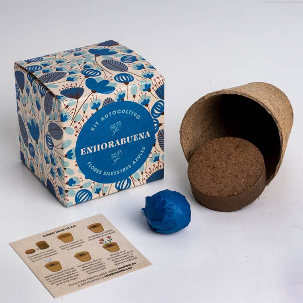 Say it with flowers "Congratulations" 💐