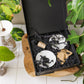 Deluxe Gift Box – Germination & Propagation in water