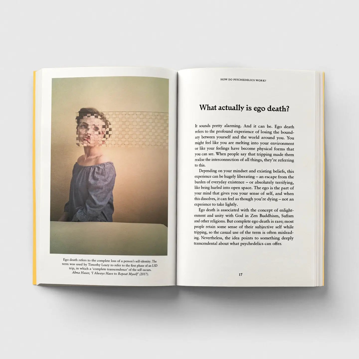 Psychedelics, A Pocket Primer