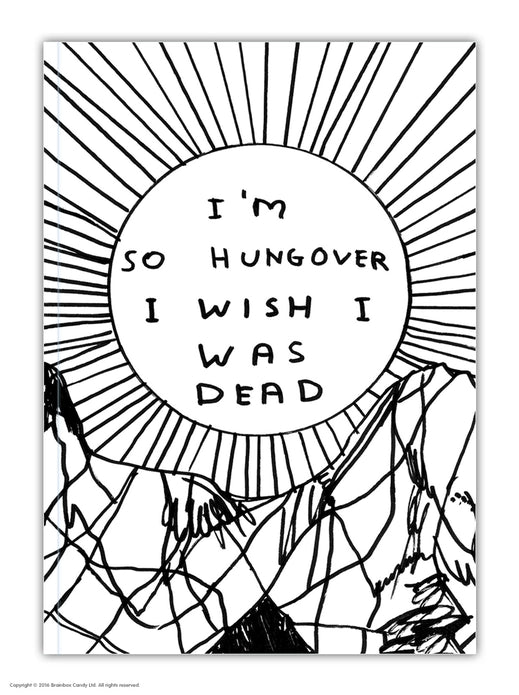 David Shrigley - I'm so Hungover - A6 Notebook