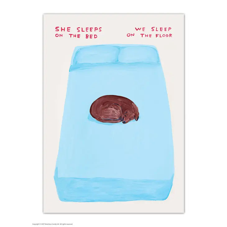 David Shrigley: "She Sleeps On Bed Dog" Postcard