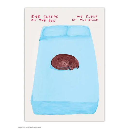 David Shrigley: "She Sleeps On Bed Dog" Postcard