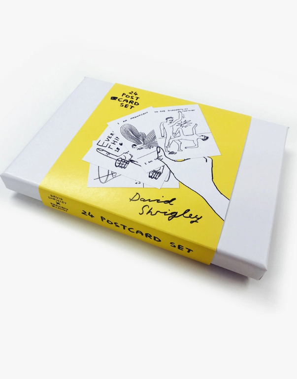 David Shrigley Postcards Gift Boxed - 24 Designs