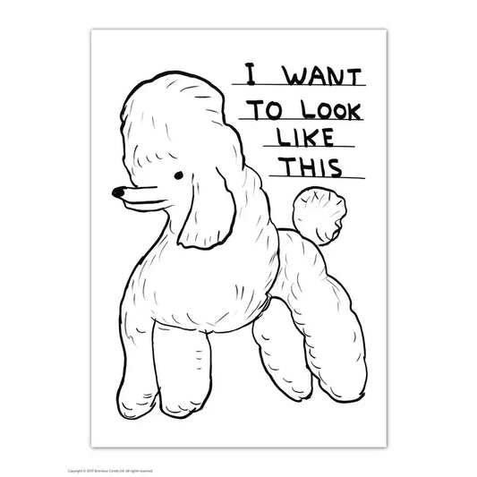 David Shrigley: "Want to Look Like This" Postcard