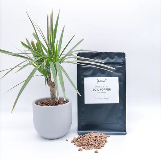 House Plant Soil Topper - Cork Granules - Generosa